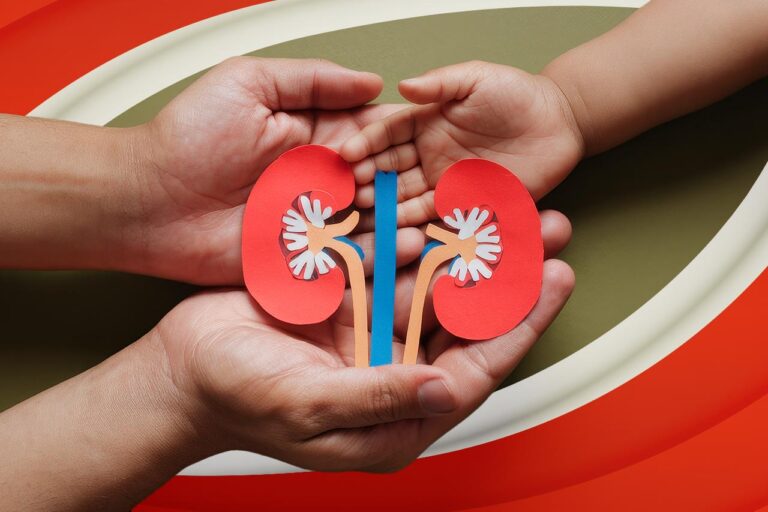 ¿Cómo apoya Corporativo Kosmos a niños con enfermedades renales?