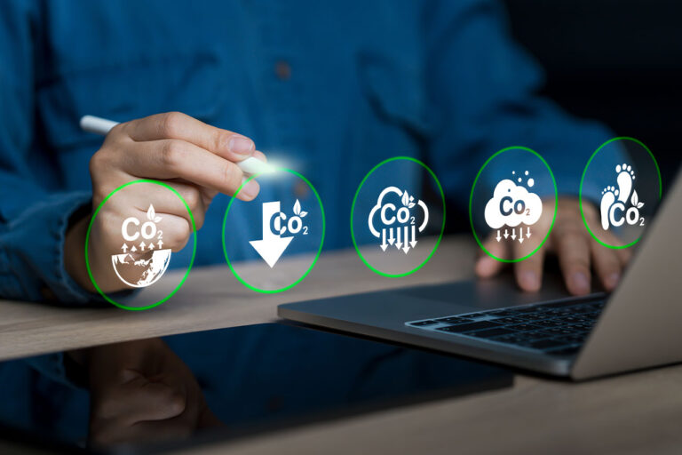 8 de cada 10 créditos de carbono no garantizan una compensación real: Informe