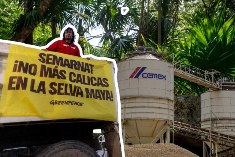 Greenpeace señala a CEMEX por daño la Selva Maya; pone en duda su RSE