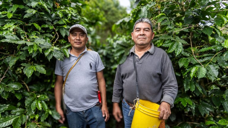 “Todos Sembramos Café”, la iniciativa de Starbucks México que está transformado el campo cafetalero