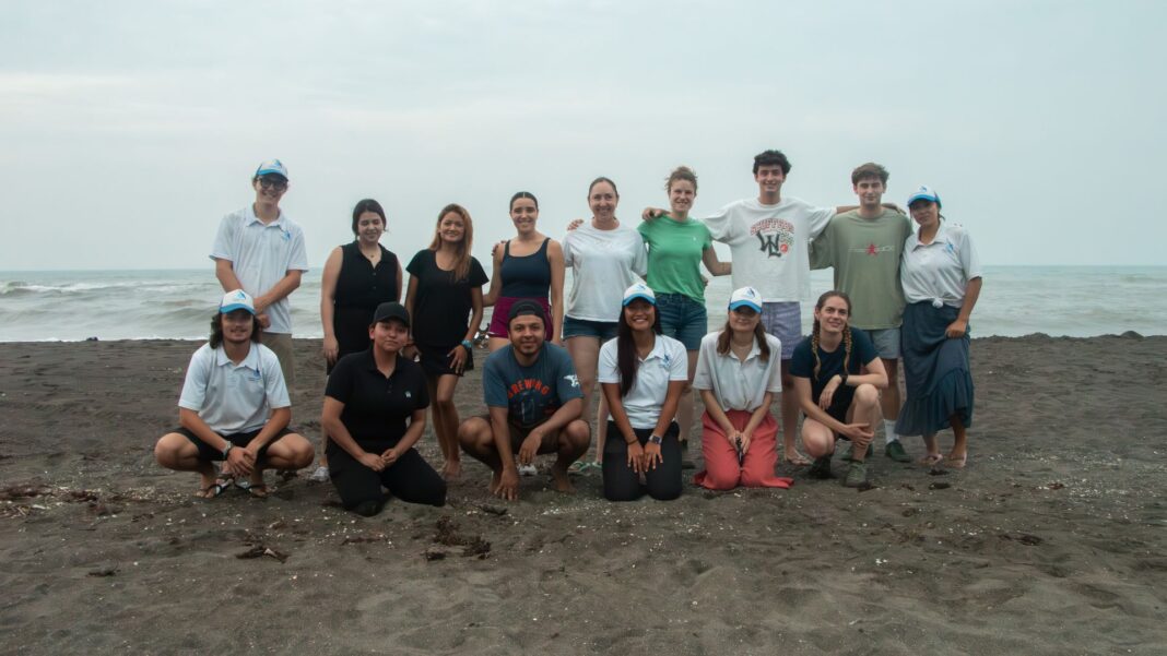 tortugas marinas en México