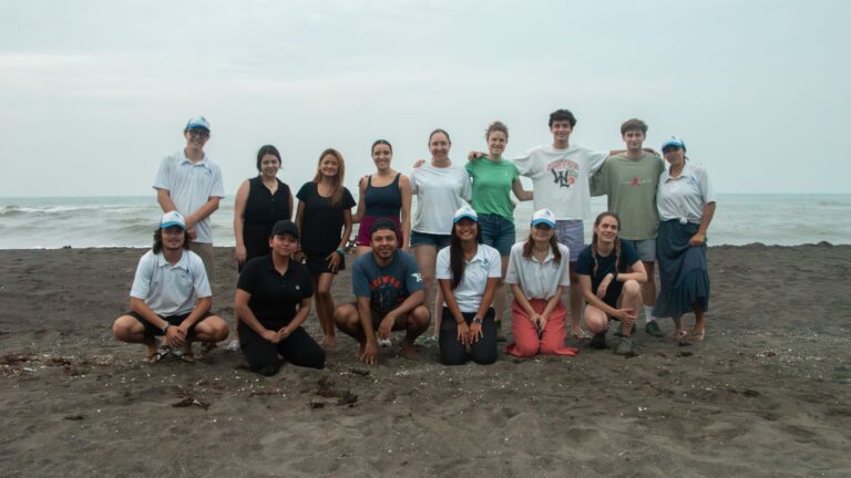 Salvar tortugas marinas: el impacto del voluntariado de Grupo Restaurantero Gigante