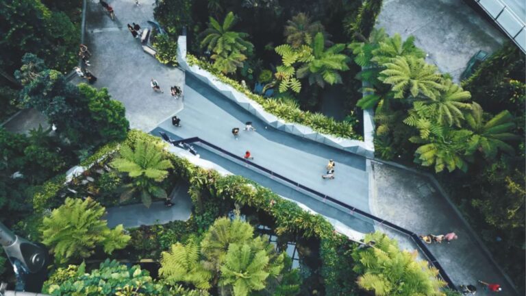 Holcim México convierte su Centro de Innovación en un modelo nacional de cero residuos