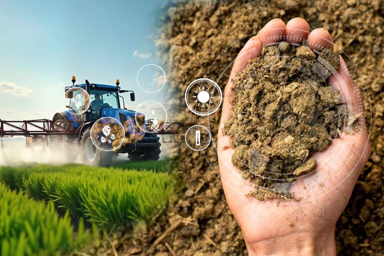 De desecho a recurso: cómo los excrementos pueden impulsar la agricultura sostenible