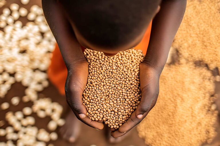 Disminuye el hambre global, pero persiste la crisis en regiones vulnerables: ONU