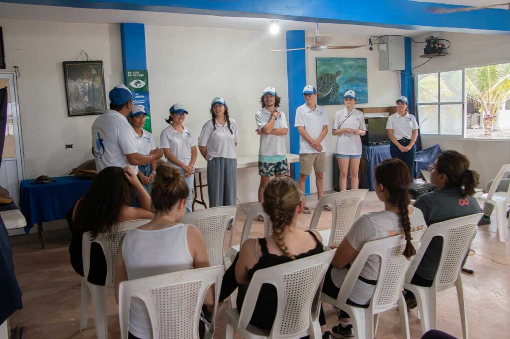 tortugas marinas en México