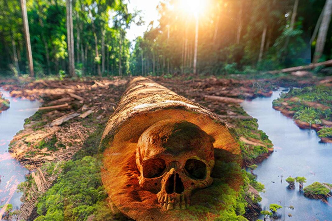 costo humano de la deforestación