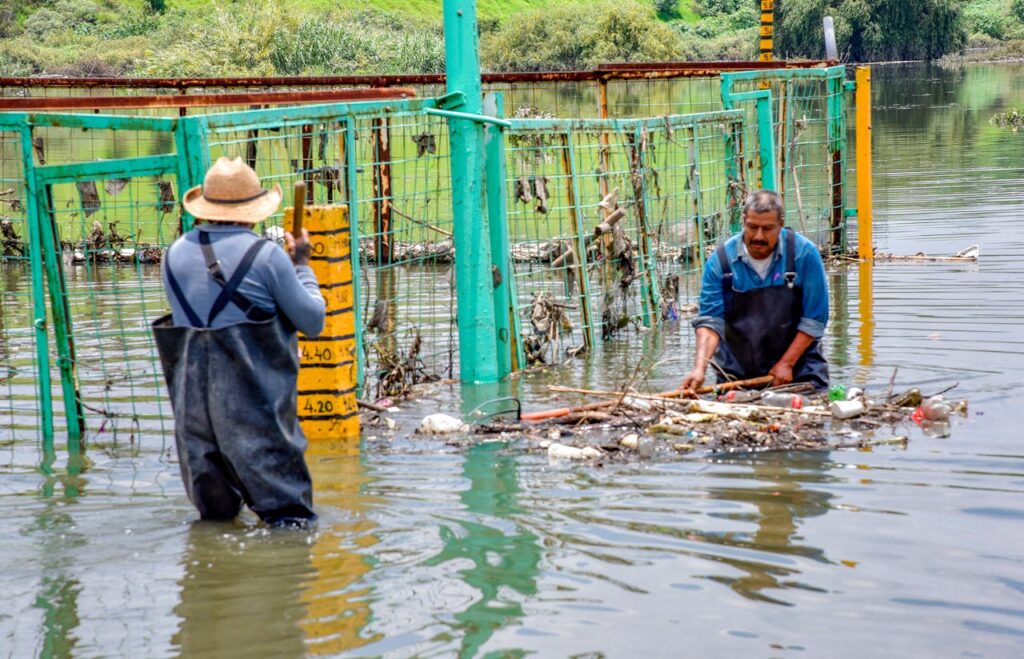 calor extremo en 2025
