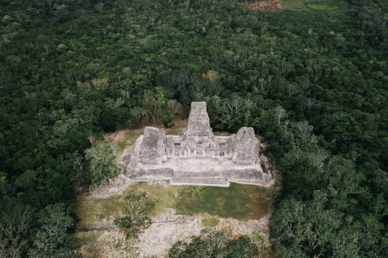 WWF congratula a Belice, Guatemala y México por la Declaración de Calakmul por el Corredor Biocultural Gran Selva Maya