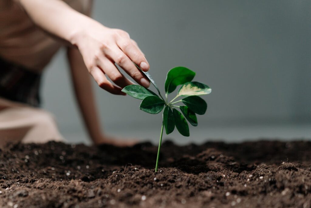 impacto ambiental de los aranceles