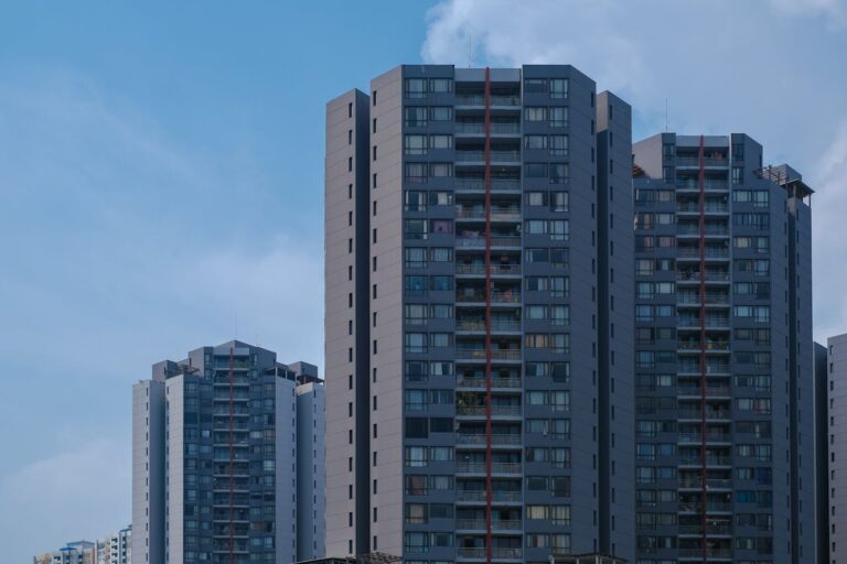 Terralago: reubicación de flora y fauna, un compromiso ambiental real