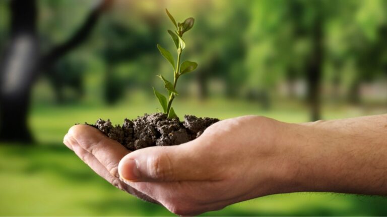 Brambles renueva su ambición regenerativa con el lanzamiento del Programa de Sustentabilidad 2030