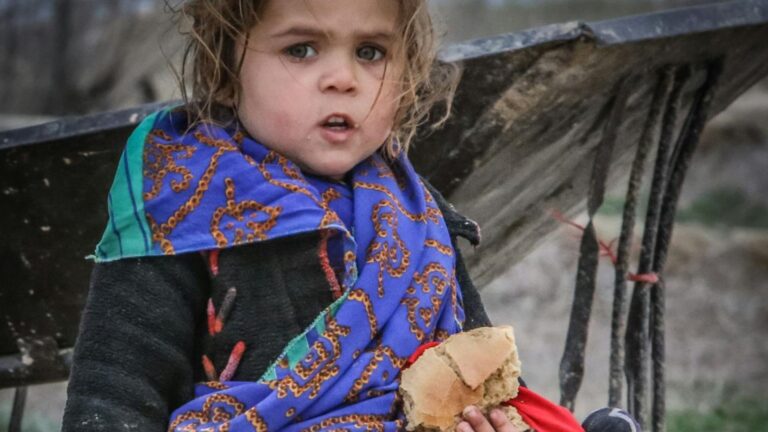 “Impacto al plato”: la apuesta de Fundación CMR contra la malnutrición infantil