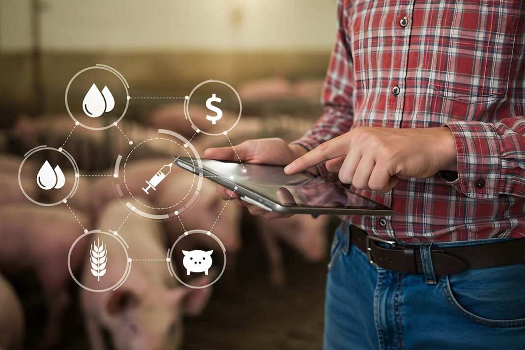 impacto de la carne en el cambio climático