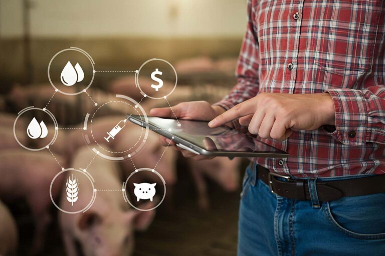 ¿Por qué la carne sigue ausente en la conversación sobre el cambio climático?