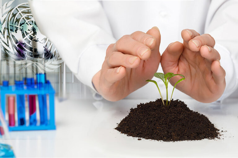 ONU y líderes mundiales redoblan la lucha climática, pese a Trump