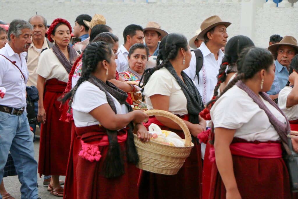 derechos de los pueblos indígenas y afromexicanos
