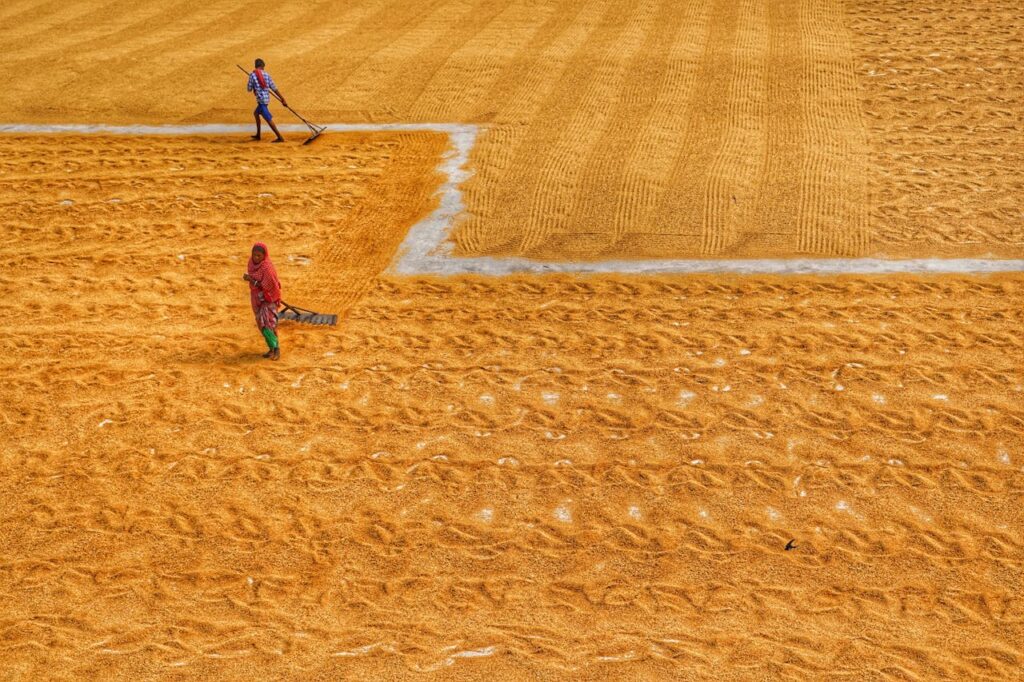 costo del deterioro de la naturaleza