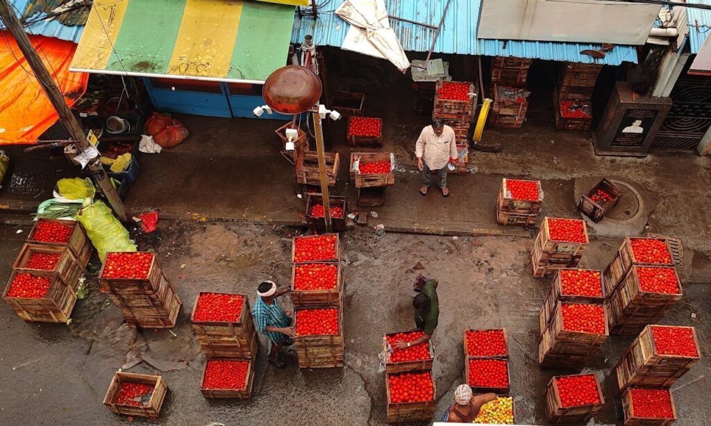 estrategias para apoyar la economía local