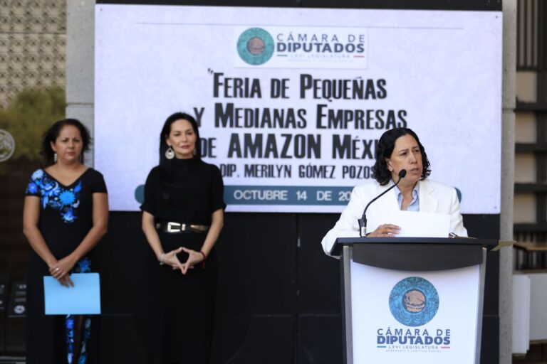 Del marketplace al Congreso: el nuevo poder de Mercado Libre y Amazon