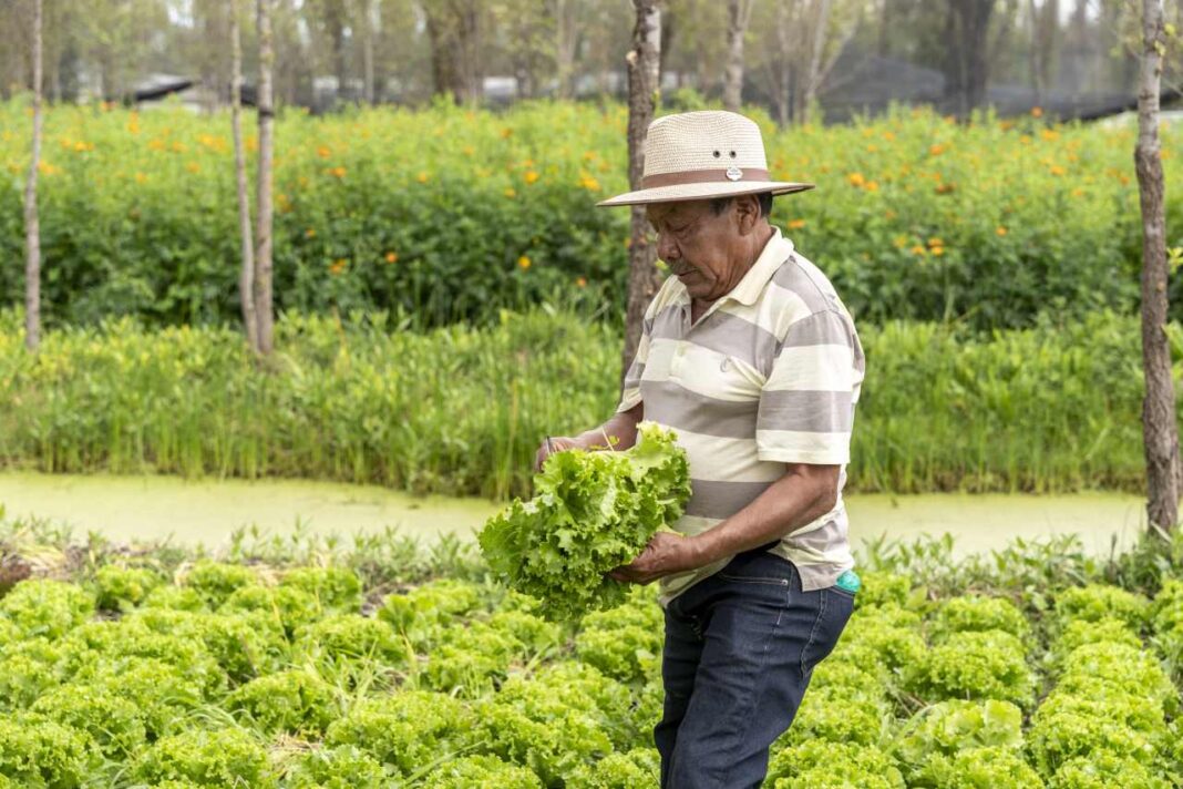 Amazon sustentabilidad