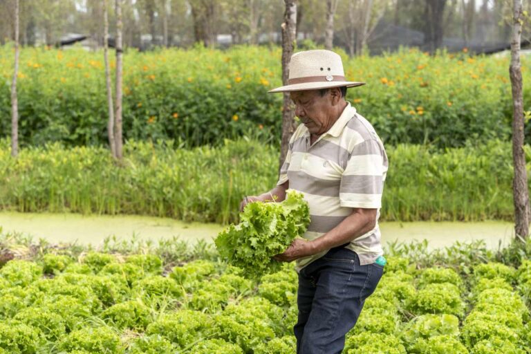 Amazon se suma a la primera edición de México por el Clima para impulsar la sustentabilidad y la acción climática