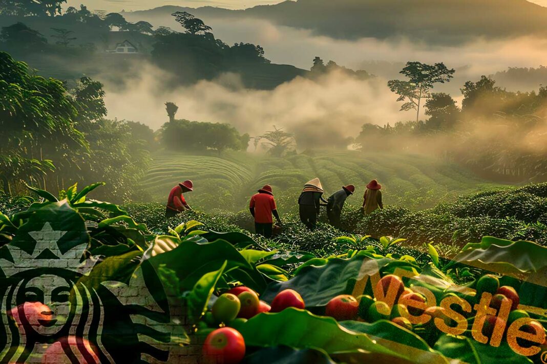 Nestlé y Starbucks acusados por ONG