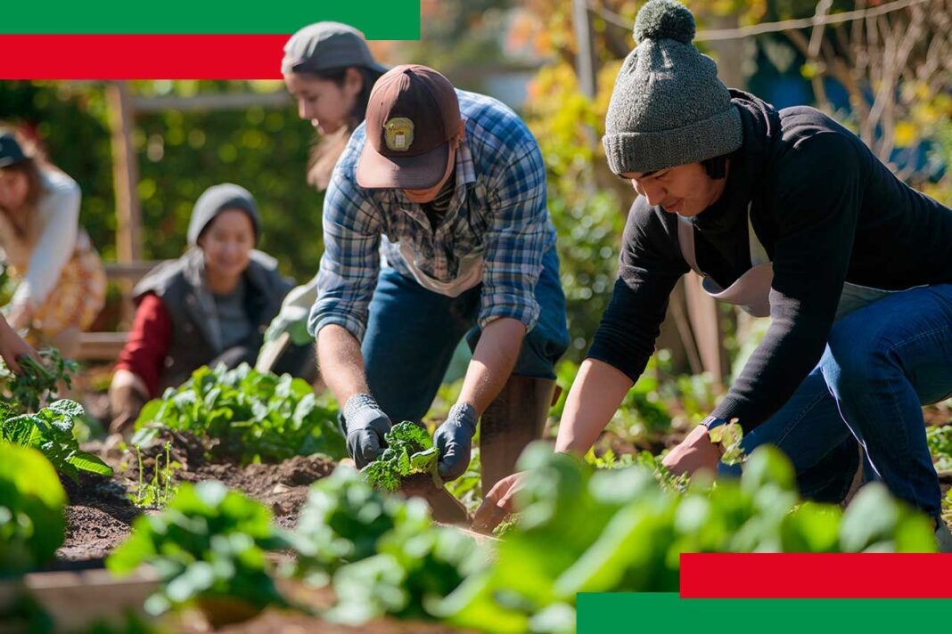 programas efectivos de desarrollo comunitario