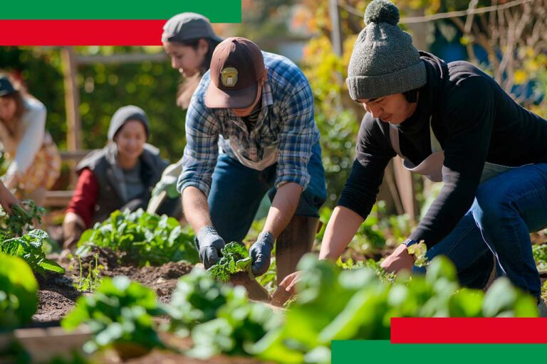 ¿Cómo las fundaciones empresariales están transformando comunidades en México?