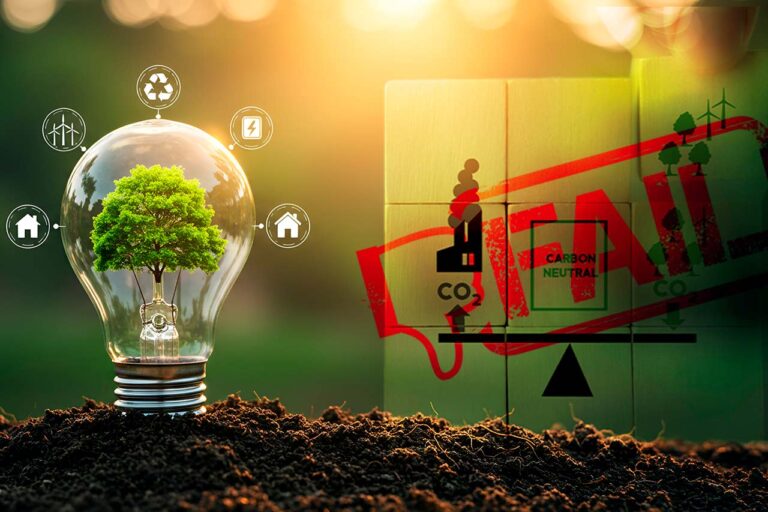 ¿Por qué las compensaciones de carbono son un fracaso? Estudio explica