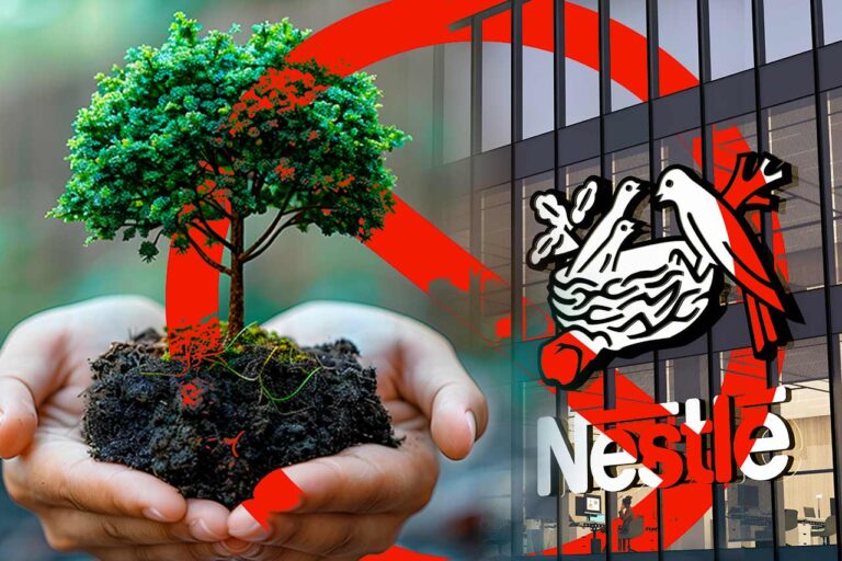 ¿Retroceso ambiental? Nestlé abandona la alianza para reducir emisiones