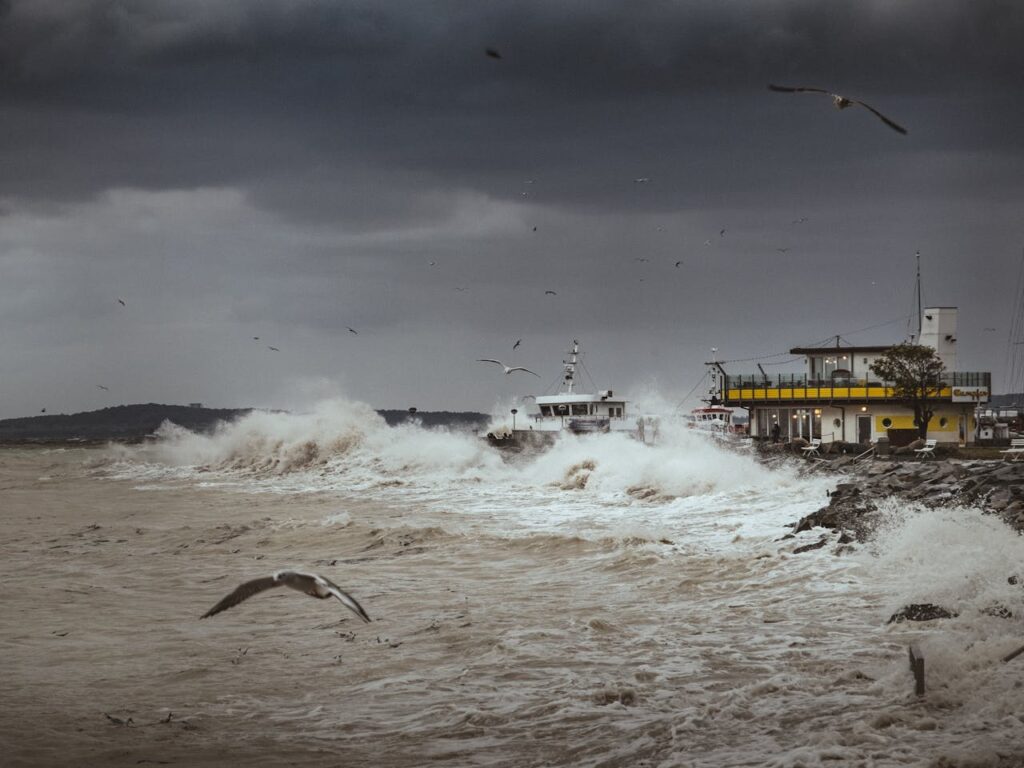 respuesta a desastres naturales