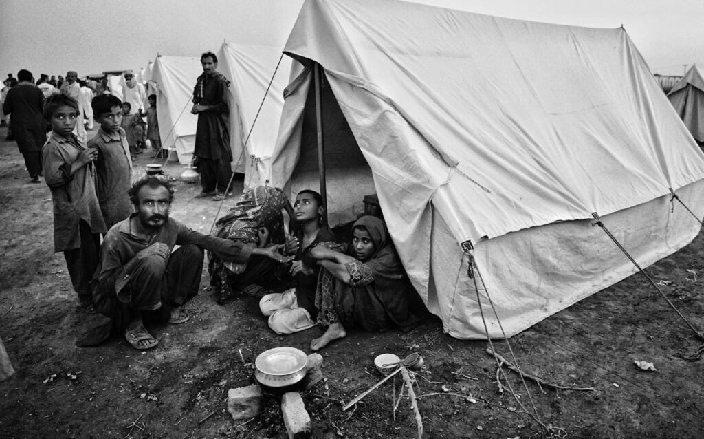 solución al cambio climático