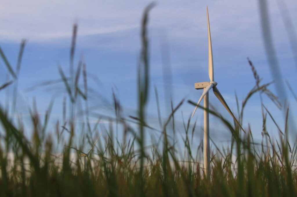 aliadas del cambio climático