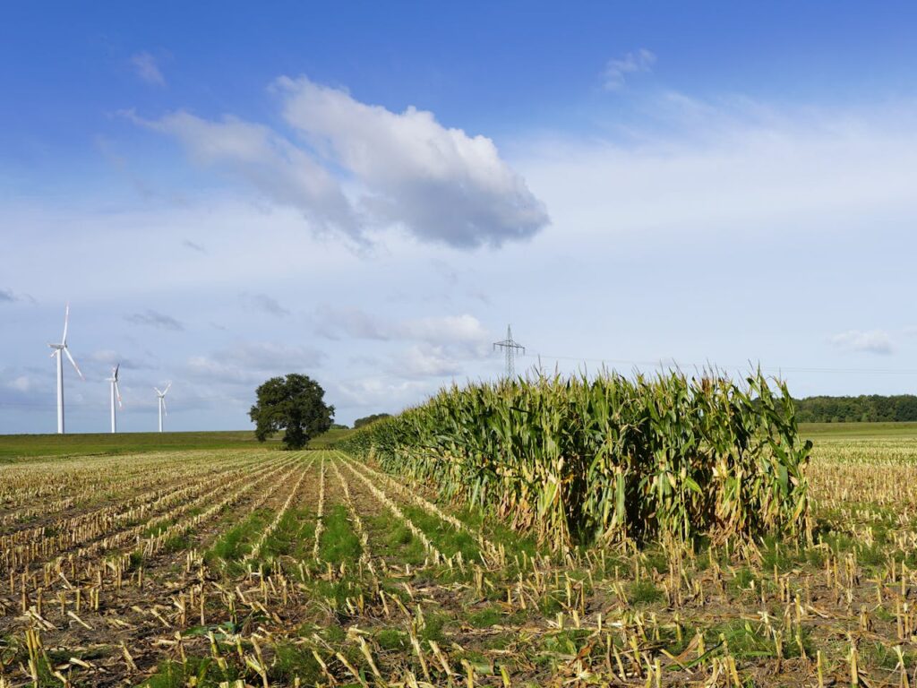 Entender la diferencia entre energía limpia y energía justa es el siguiente paso para lograr un mundo con justicia climática y social.