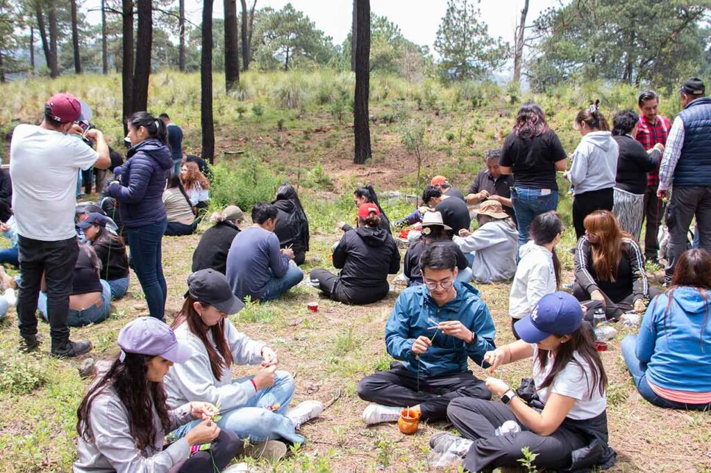 conciencia ambiental desde la RSE