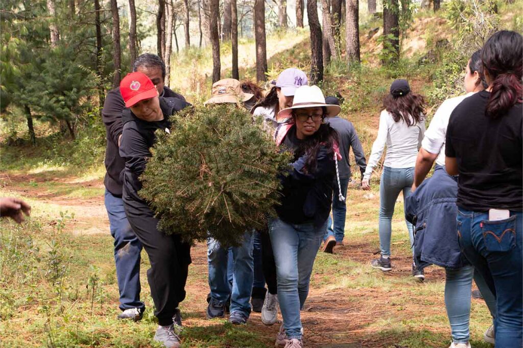 conciencia ambiental desde la RSE