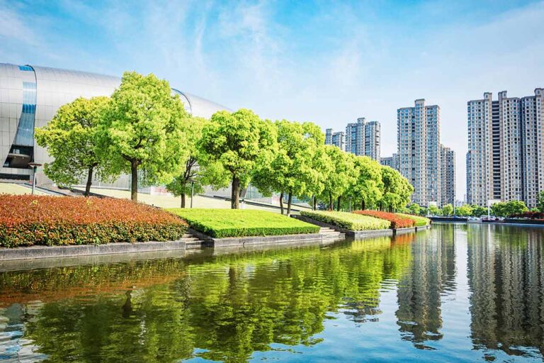 Efecto Lujo: ¿por qué la naturaleza es un privilegio en muchas ciudades?