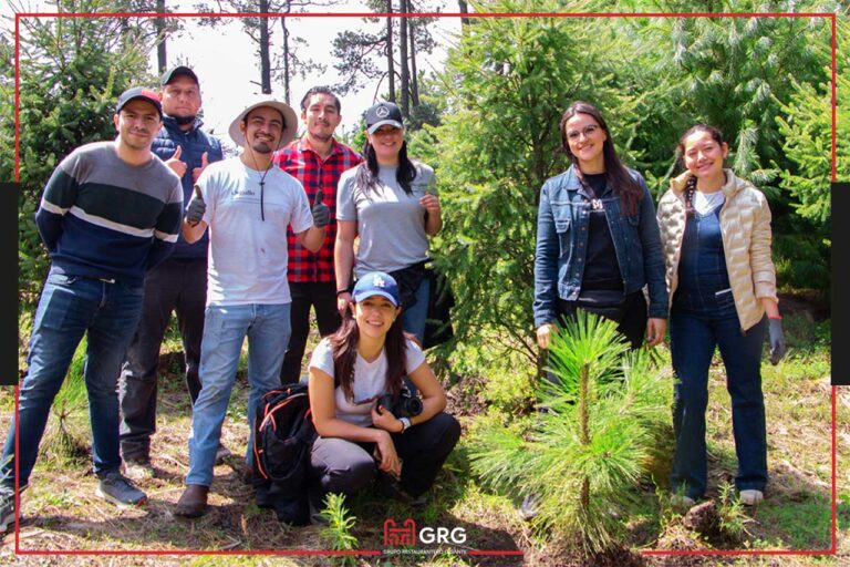 Bosque Toks: sembrando conciencia ambiental desde la RSE