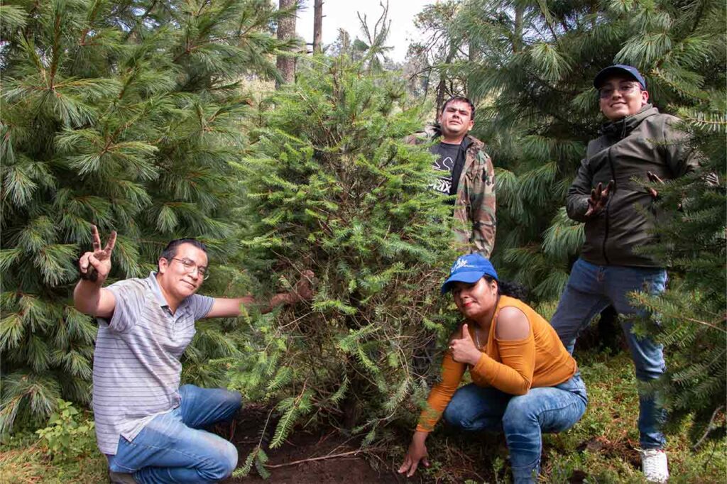 liderazgo de Grupo Restaurantero Gigante