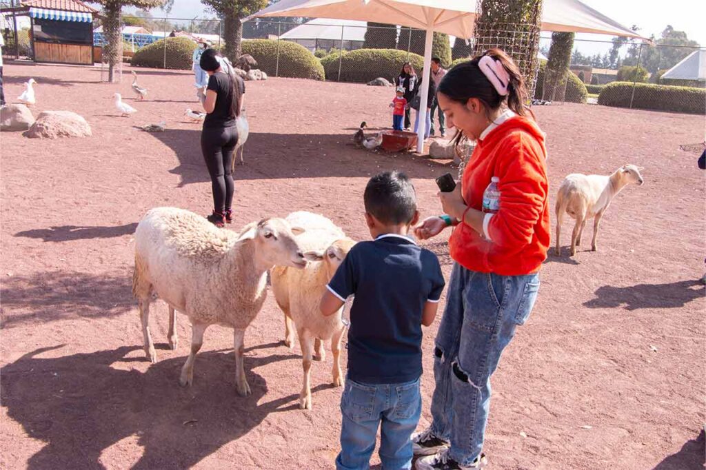 importancia de la recreación