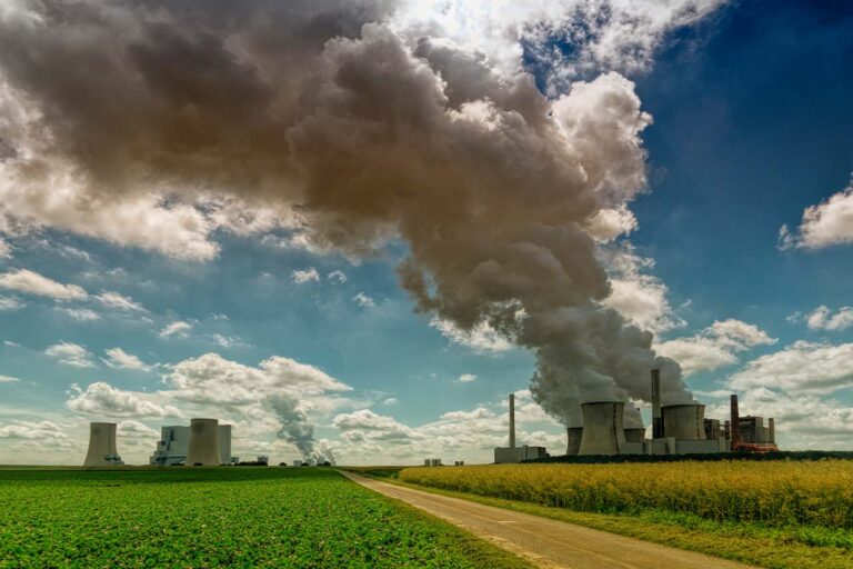 Comida y combustibles: los responsables de 5 mil millones en daños ambientales por hora