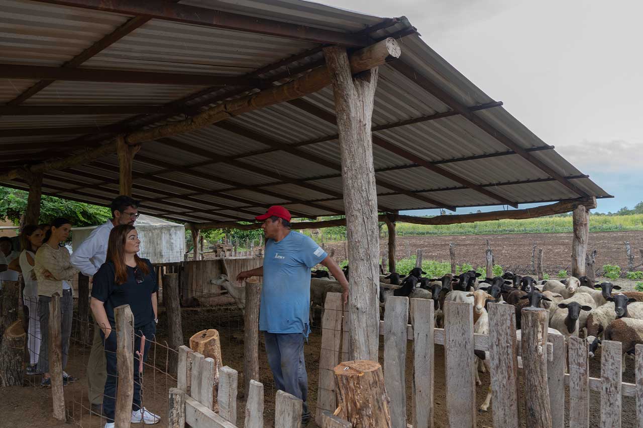 fundaciones empresariales que apoyan a pequeños productores