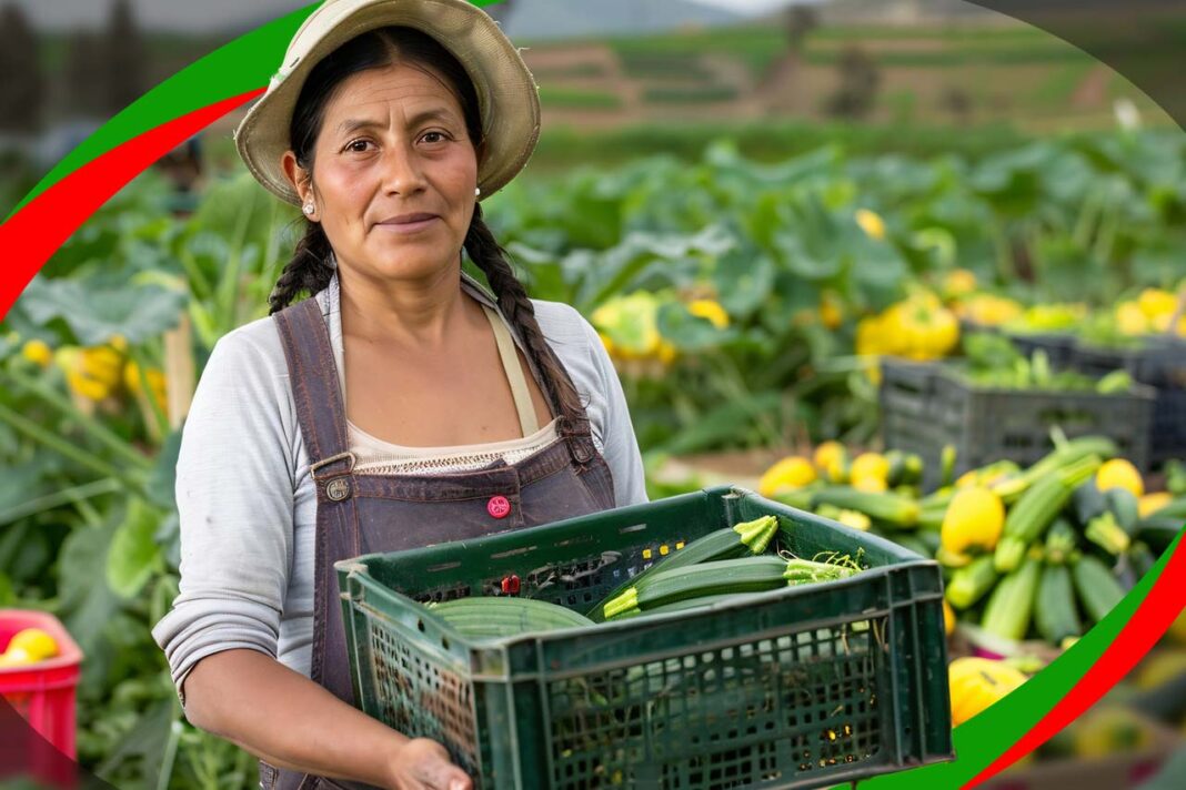 fundaciones empresariales que apoyan a pequeños productores