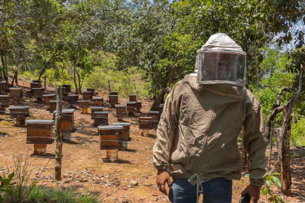 productos locales en Toks