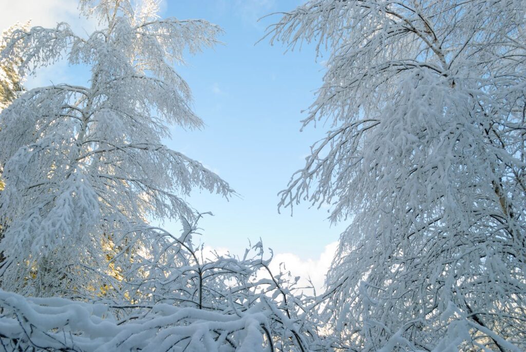 Navidades con nieve en riesgo
