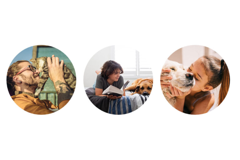 Cuidarlos también es un propósito: humanos responsables, mascotas felices