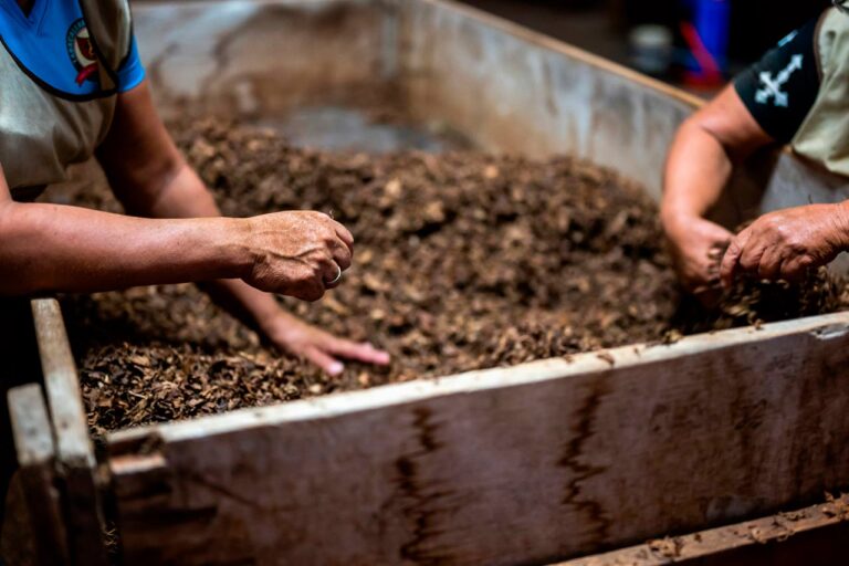 Educación ambiental para las infancias: aprendamos sobre la composta
