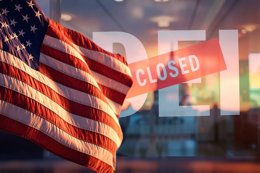 ayuda para proyectos de DEI