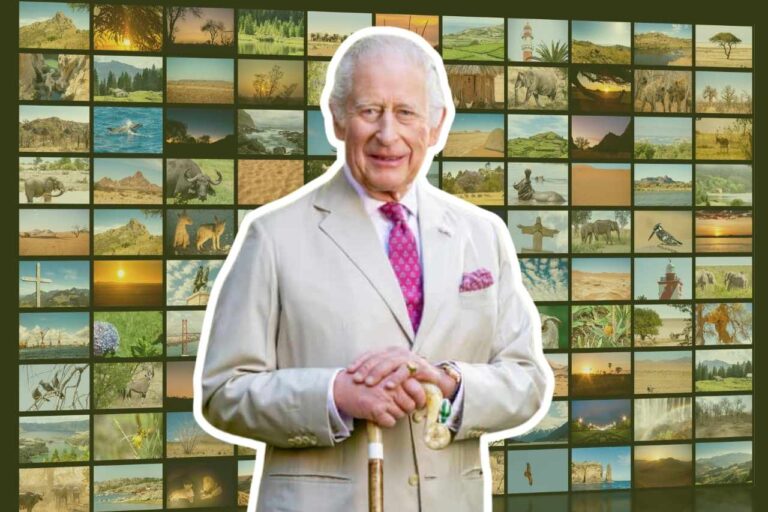 Entre críticas y activismo: el Rey Carlos lanza documental ambiental